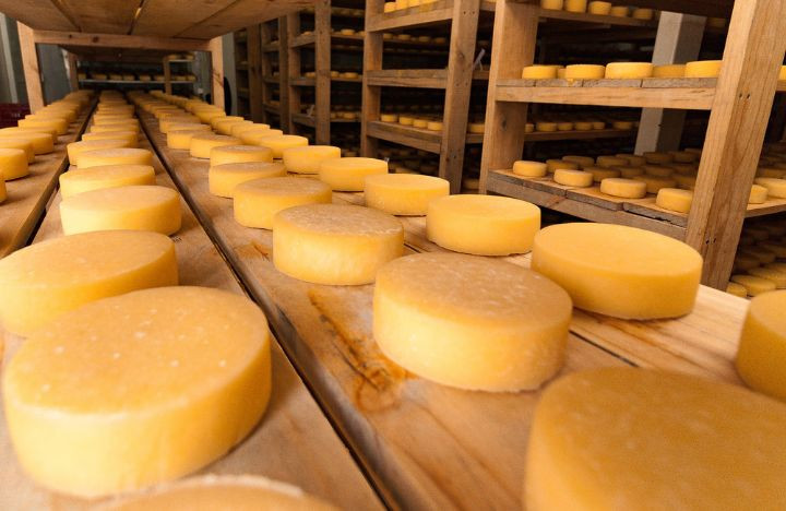 Taller de Queso Paipa artesanal