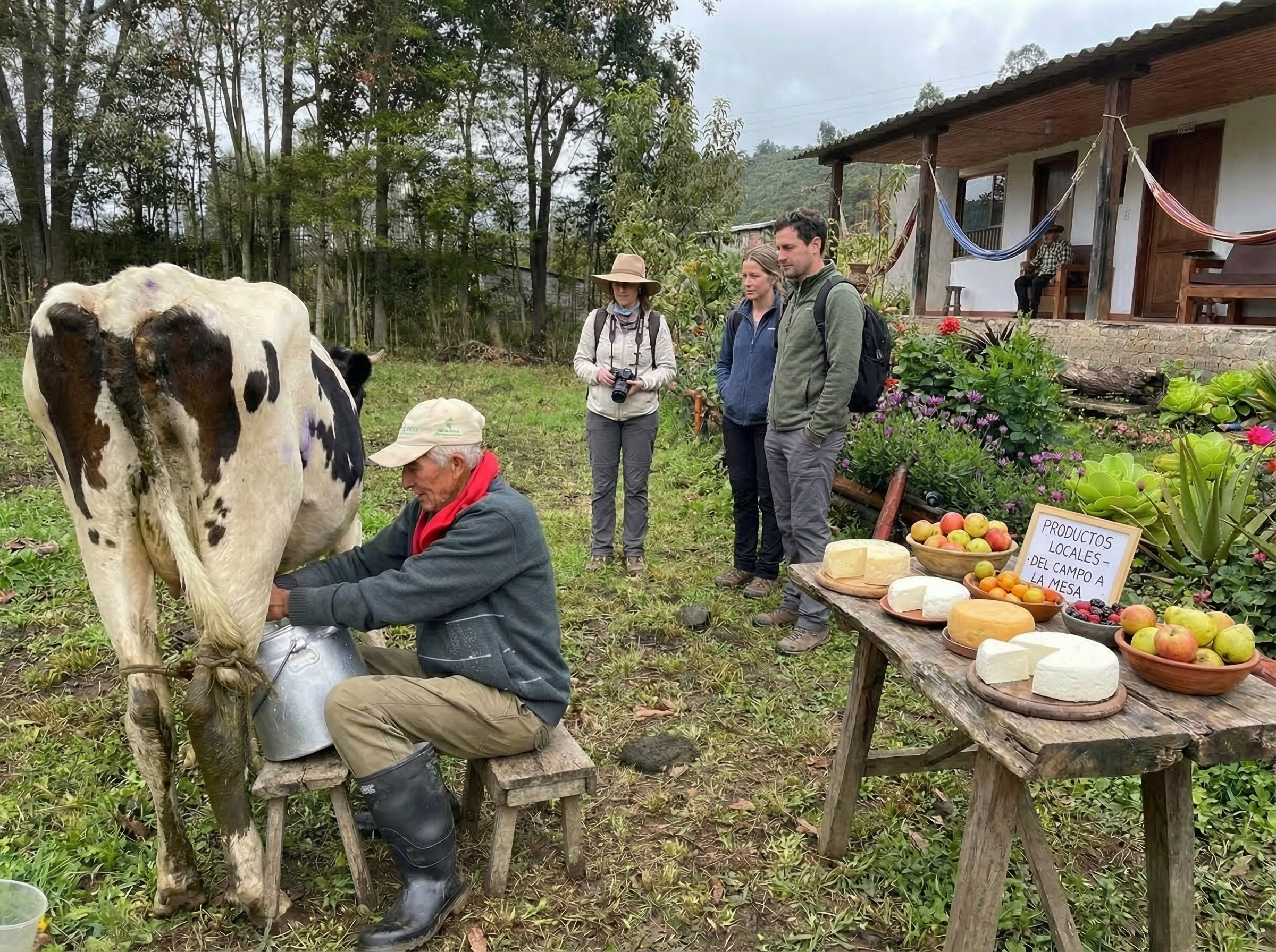 Ordeño y taller de queso artesanal en finca boyacense